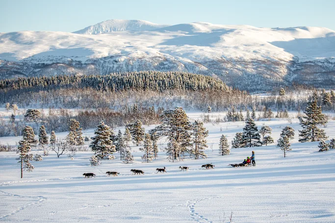 Norway_Tromso_Dogsledding_HX_45252_Photo_Ted_Gatlin