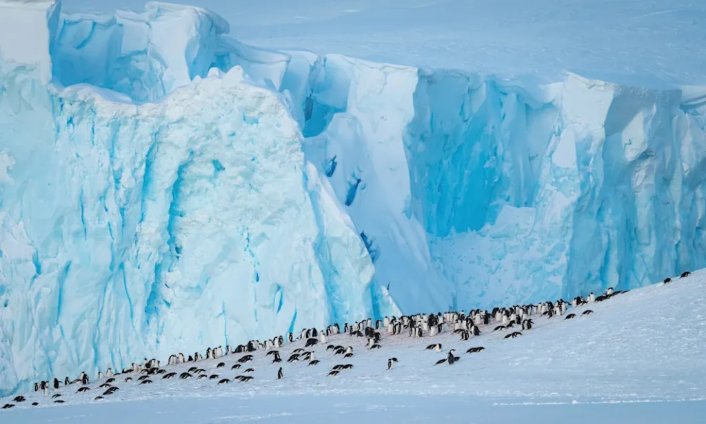 Antarctica_Neko_Harbour_HGR_165288_1920_Photo_Yuri_Matisse_Choufour